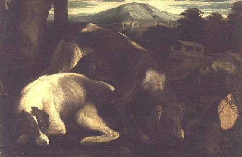  107-Due cani da caccia-Galleria degli Uffizi, Firenze 